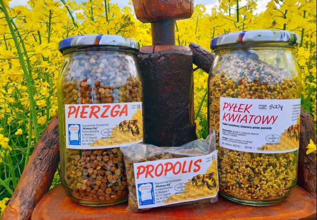 Pyłek kwiatowy, pierzga, propolis. Pasieka Rytwińscy